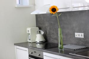 Modern Cozy 1BR apartment in Quiet center of Riga