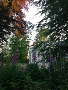 Sejours chez l'habitant Chambre Le Notre Le Domaine Des Jardins De Bracquetuit : photos des chambres