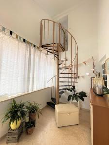 House Rosa 
