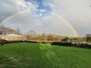 Ośrodek Jeździecki Tarpan latający Holender