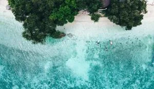 Pescador View - Beach Hostels & Restaurant Moalboal - Alegria