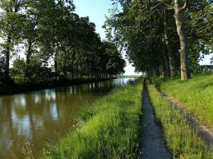 Maisons de vacances Manor house near Canal du Midi with terrace and pool : photos des chambres