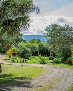 Linda casa de verano con amplias zonas verdes