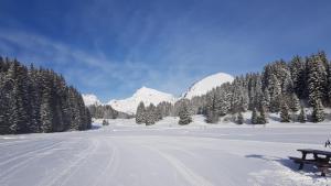 Appartements studio cabine Praz de Lys : photos des chambres