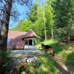 Dom z duszą Przesieka Apartament duży dla 8 10 osób