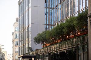 Brach Paris - Evok Collection