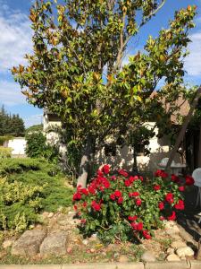 Hotels Hotel Cristol : photos des chambres