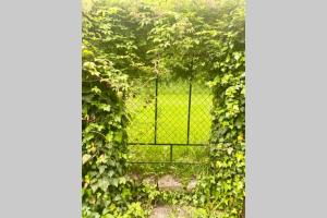 Ferienappartement Bellevue Wörthersee - privater Seezugang, Hunde auch herzlich willkommen