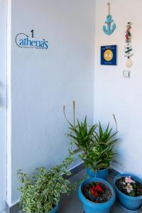 Athena's Studios Halkidiki Greece