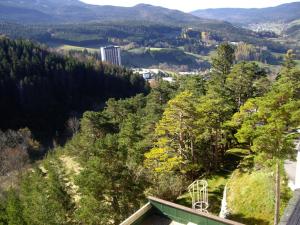 Appartements Grand Studio VILLARD DE LANS Les Glovettes : photos des chambres