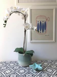 La Casa del Principe