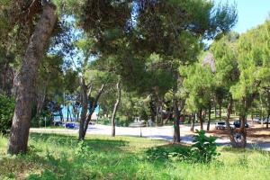 Apartment Damir 50 meters from the beach