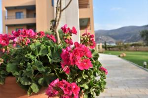 Golden Bay Hotel Apartments Heraklio Greece