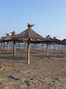 Apartament Victoria - 苏利纳