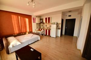 Apartment with Balcony room in IP Residence Mamaia