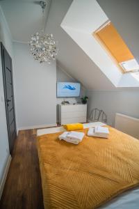 Apartament w Cieplicach Premium