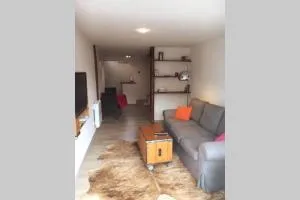 l'Aviateur,proche aérodrome, meublé 4pers - Barcelonnette