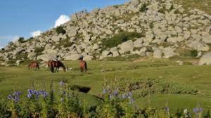 chez LULU appartement neuf au coeur de cozzano