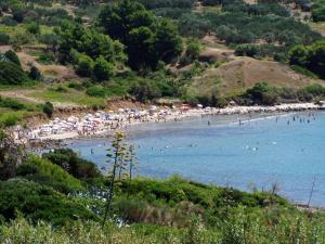 Apartment Przina 856-2