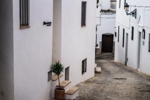 Altamirano SUITE by Atico73