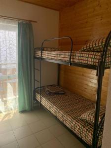 Deluxe Double Room (1 adult + 1 child) room in Gostevoi dom na Vinogradnoi