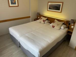 Hotels Hotel Sainte Odile : Chambre Lits Jumeaux Standard