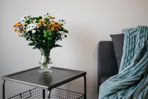 Nocosfera Apartament Serbinów