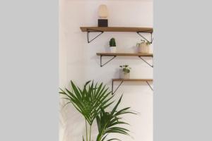 Design apartment in the historic city center