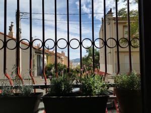 Appartements Studio calme et tres lumineux, au pied de notre Dame de la Garde : photos des chambres