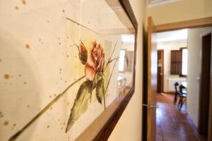 Apartamentos Camin De Pelayo