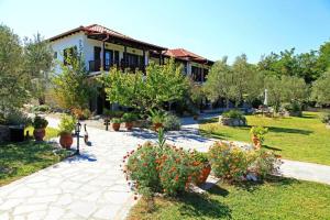 Studio (3 Adults) room in Dionysus Apartments