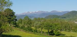 Maisons de vacances Lodge-Sagne une ferme renovee au coeur du Cantal a proximite de la station de ski du Lioran : photos des chambres