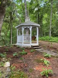 Lolly's Treehouse - Whetstone