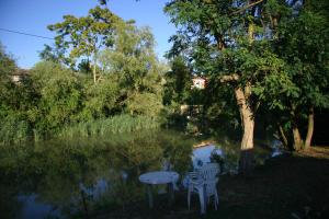 Apartment mit Gartenblick