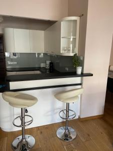 Apartament Nowy Świat 437