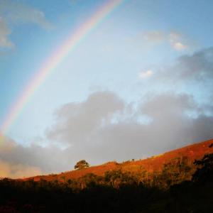 Vale das Estrelas - vale das videiras - araras