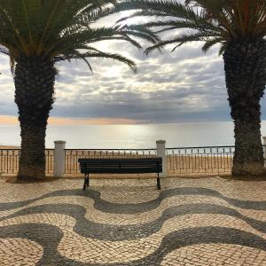 OCEAN VIEW VILLA BELAMAR