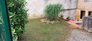 studio avec terrasse et jardinet en centre ville