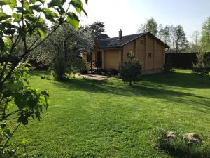 Сосны и река Волга - Кимры