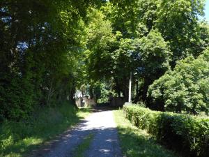 Maisons de vacances La petite Bardouillere : photos des chambres