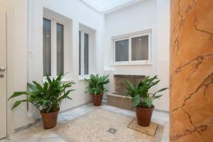 Rosarioseis CATEDRAL