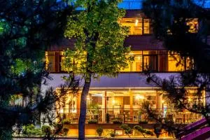 Kerpė Hotel & SPA - 克雷廷加