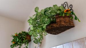 Villa Luisa - Your Holiday in Sardinia img33