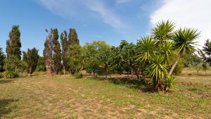 Villa Luisa - Your Holiday in Sardinia img38