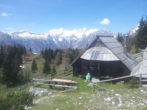 Chalet Zlatica Velika Planina