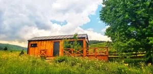 Căsuța de sub cireș - Almaş