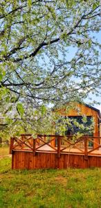 Căsuța de sub cireș