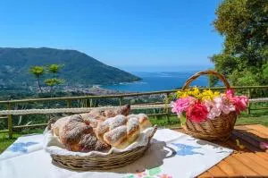 Driùs edodè - b&b affittacamere - Tortorella