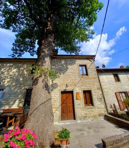 BISERNO Apartment