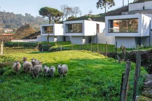 Viana do Castelo - Amonde Village Casa P - Conforto Qualidade Natureza